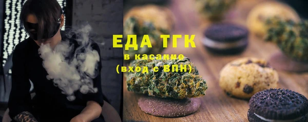 индика Медногорск