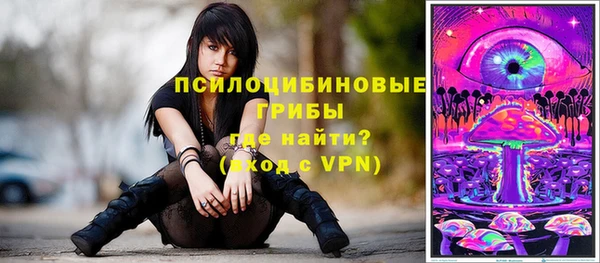 ешки Медвежьегорск
