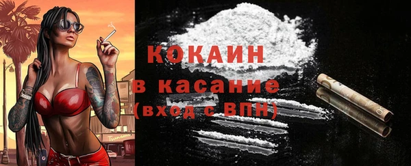 индика Медногорск