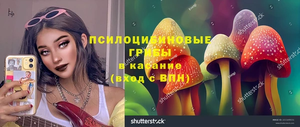 ешки Медвежьегорск